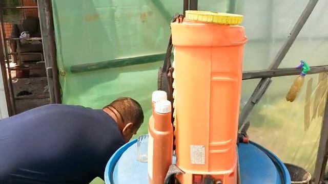 Ускоренное созревание томатов. Налив помидоров в короткие сроки