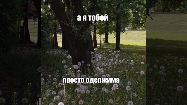 песня