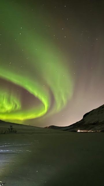 С Новым 2026 ...! Допотопный XVII