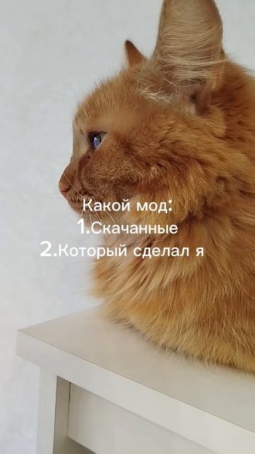 Ответь в комментариях, я не знаю какой выбрать мод.