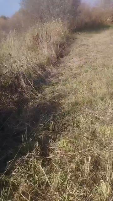 Земельный участок д. Коряково, Костромской р-н