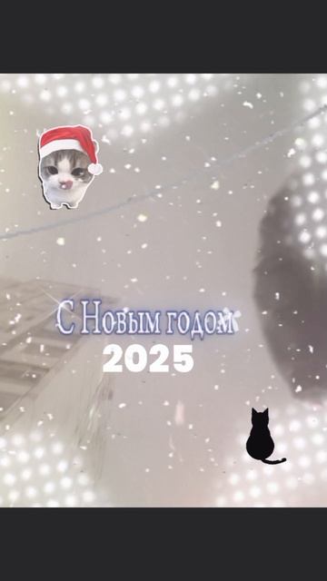 Всех с новым годом, а я пойду есть тазик оливье 🙂↕️ удачи вам в новом году радости, счастья, не рас
