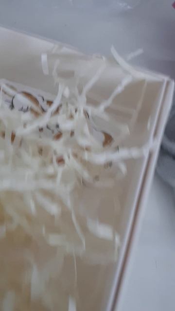 это мой подарок на новый год!  ВСЕХ С НОВЫМ ГОДОМ сегодня уже 31