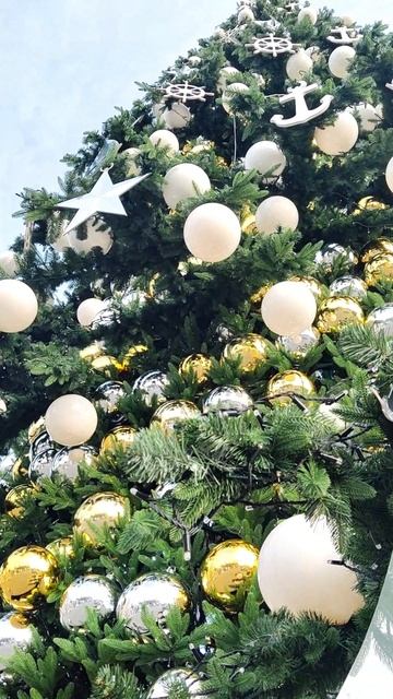 Второй день