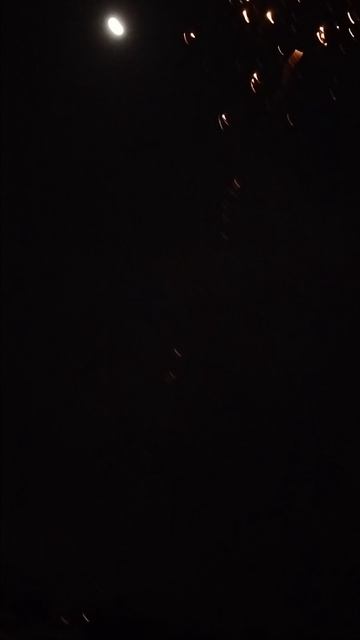 С НОВЫМ ГОДОМ 2026 🎆🎆🎆