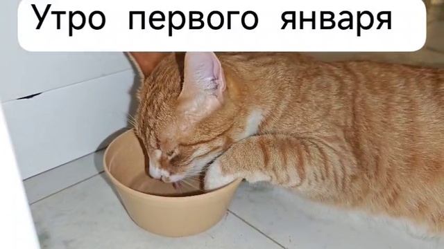 С Новым Годом !