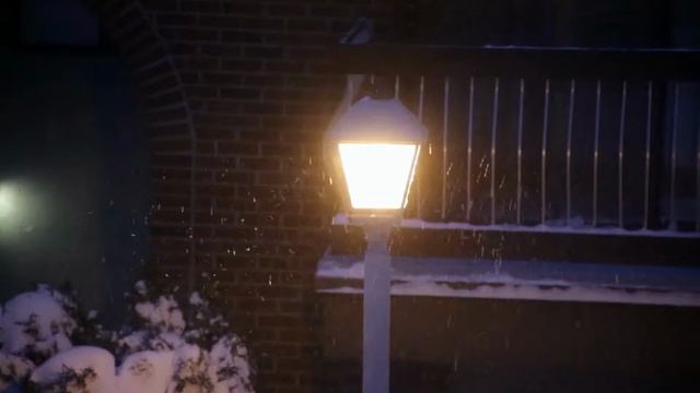 Winter Snowfall Compilation All Around The WORLD Free HD Video
