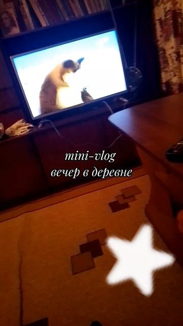 mini_vlog вечер в деревне ⭐