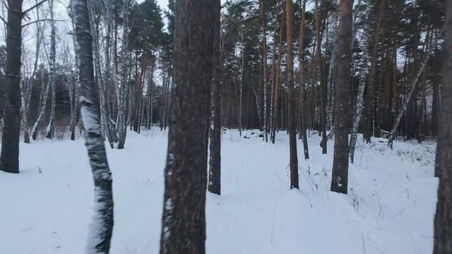 579d3b0274496bfdebc65f452d310c38