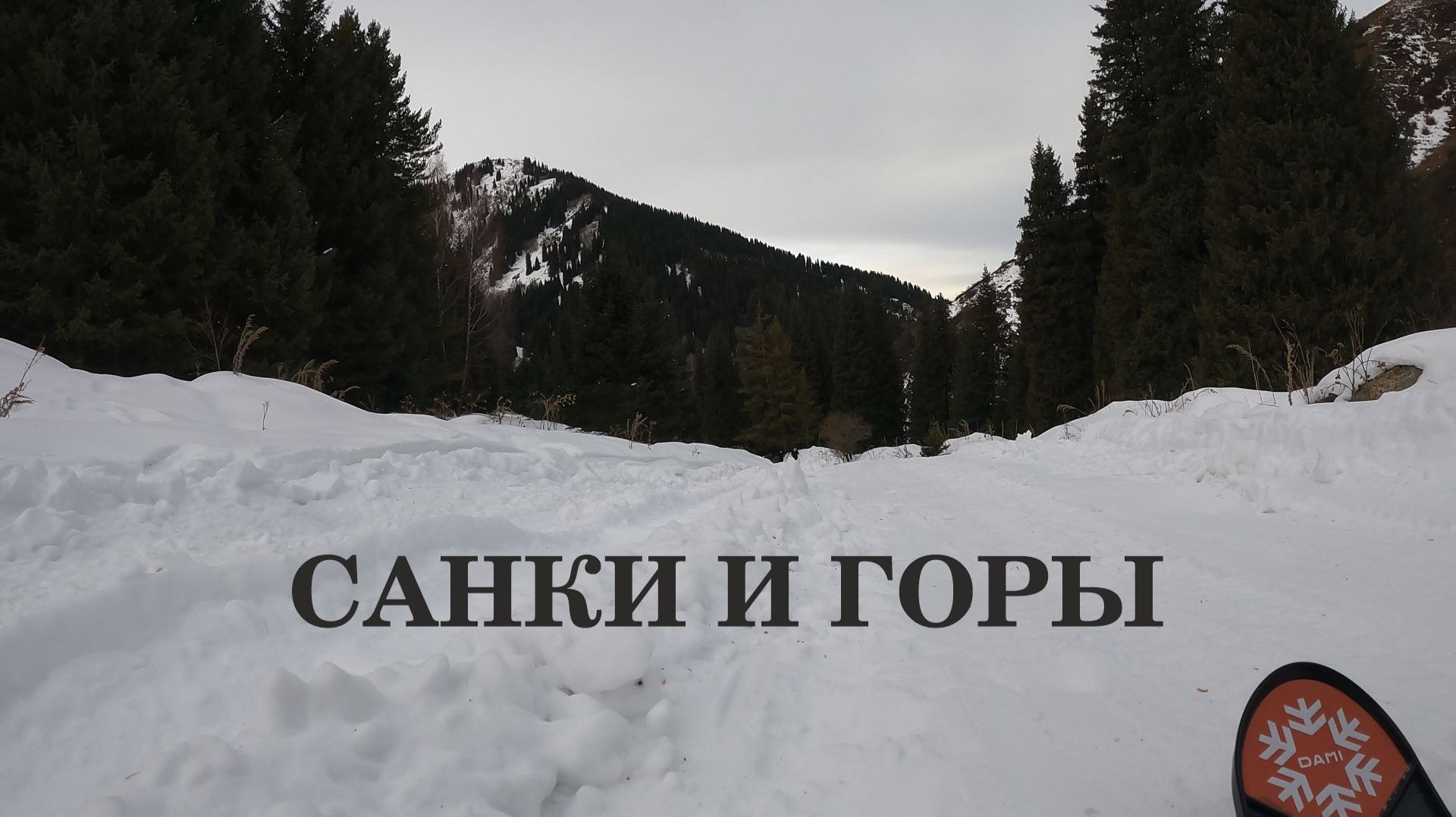 На санках по пустынной горной дороге, 30 декабря 2025 г.