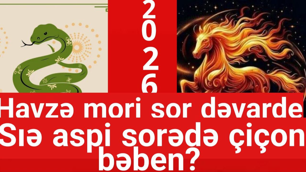 Havzə Mori Sor Dəvarde, Sıə Aspi Sorədə çiçon Bəben!