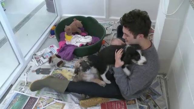 Big Question 4 BI Animals