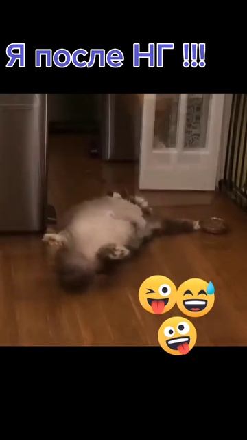 Video_2026-01-02_18-34-26