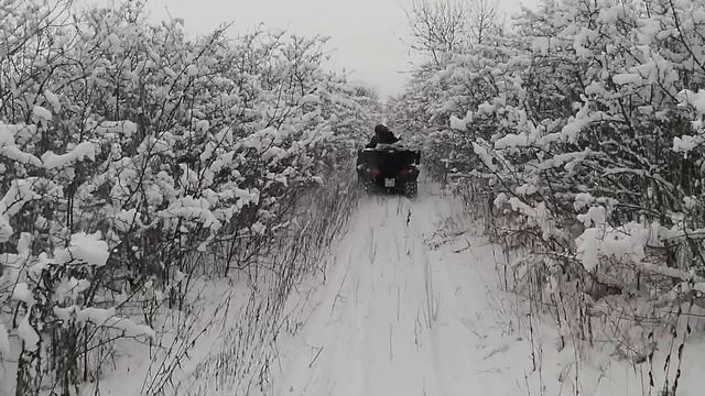 8cc13e680cf88a04750257423936488d