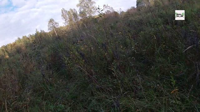 Место ядерных испытаний в глухих лесах Ивановской области. Фрагменты осенней поездки.