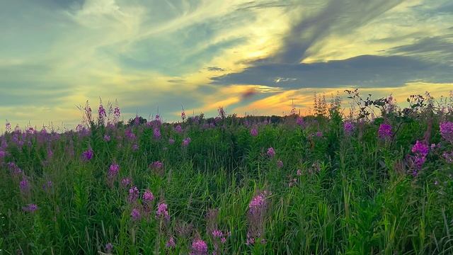 Da7567ac77f950318e2f0a5f2673def1