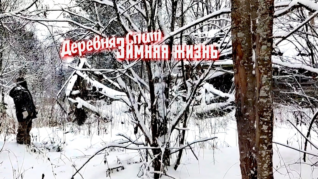 Зимой деревни спят и дороги к ним исчезают.