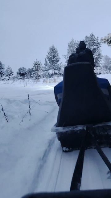 На буране по лесу покатались