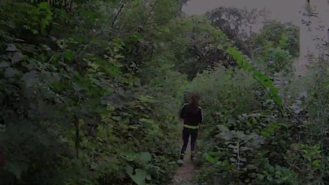 Заброшенная усадьба князей Прозоровских-Голицыных в с.Зубрилово, Пензенская область