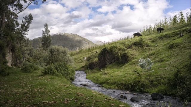 Любимая Деревня моя