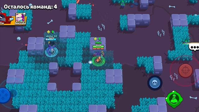 Катка на Розе