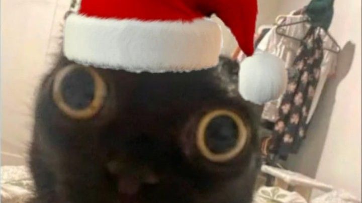 210aa14b34161f9e2b18d4964525f639