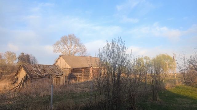 Жил был пёс в глухой деревне