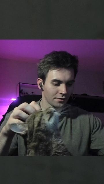 Когда кот важнее игры 😼🎮