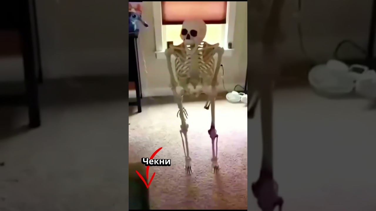 Мем #199 - B.A.G.L.K.E.R - Жиза? #maxplay #baglker #meme #shorts #mem #баглкер