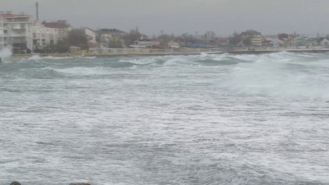 03.01.2026 Ветер в Феодосии (Лужанина Ю.)