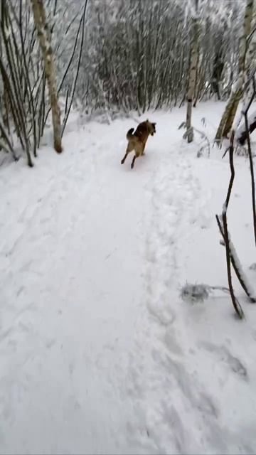 0ba24c369d94bf4d5d78d90ff6a61369