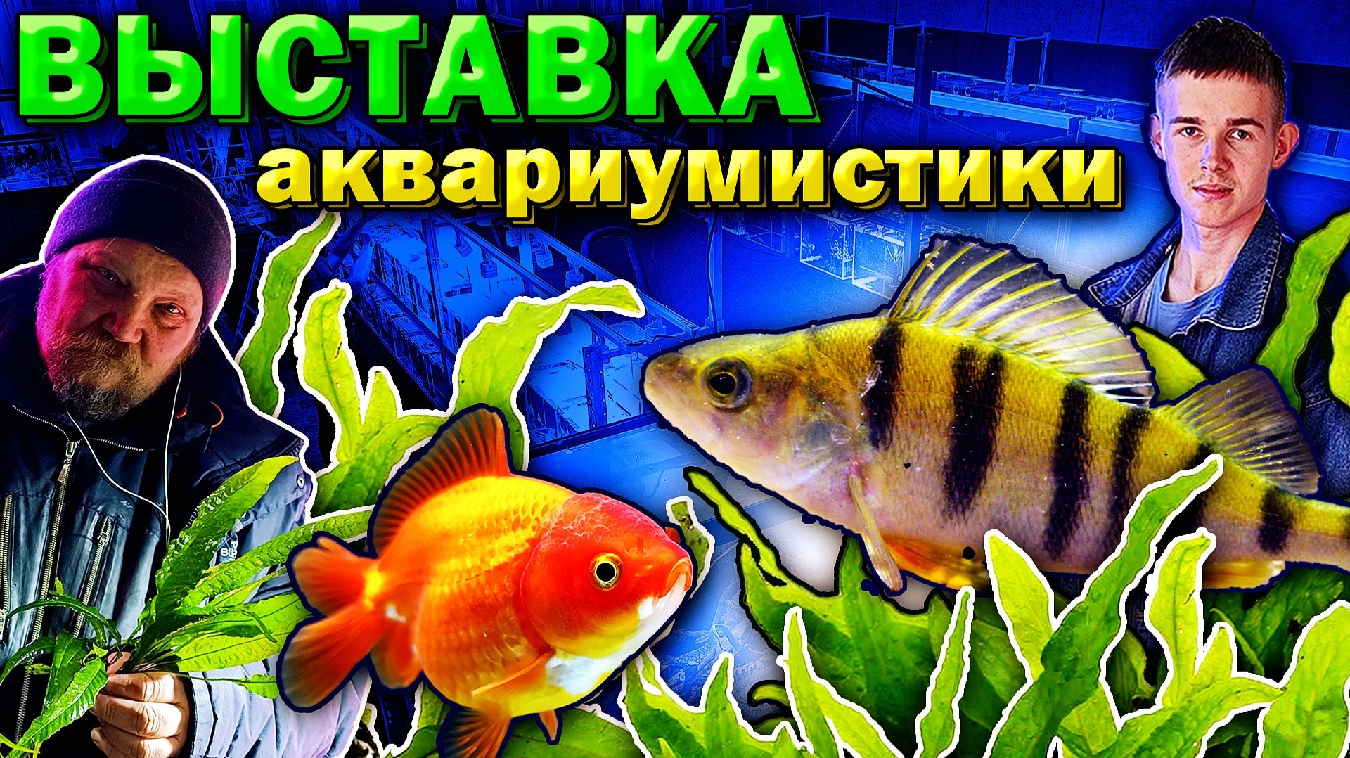 Выставка аквариумных рыбок 2026 готова! Всех ждём в гости!