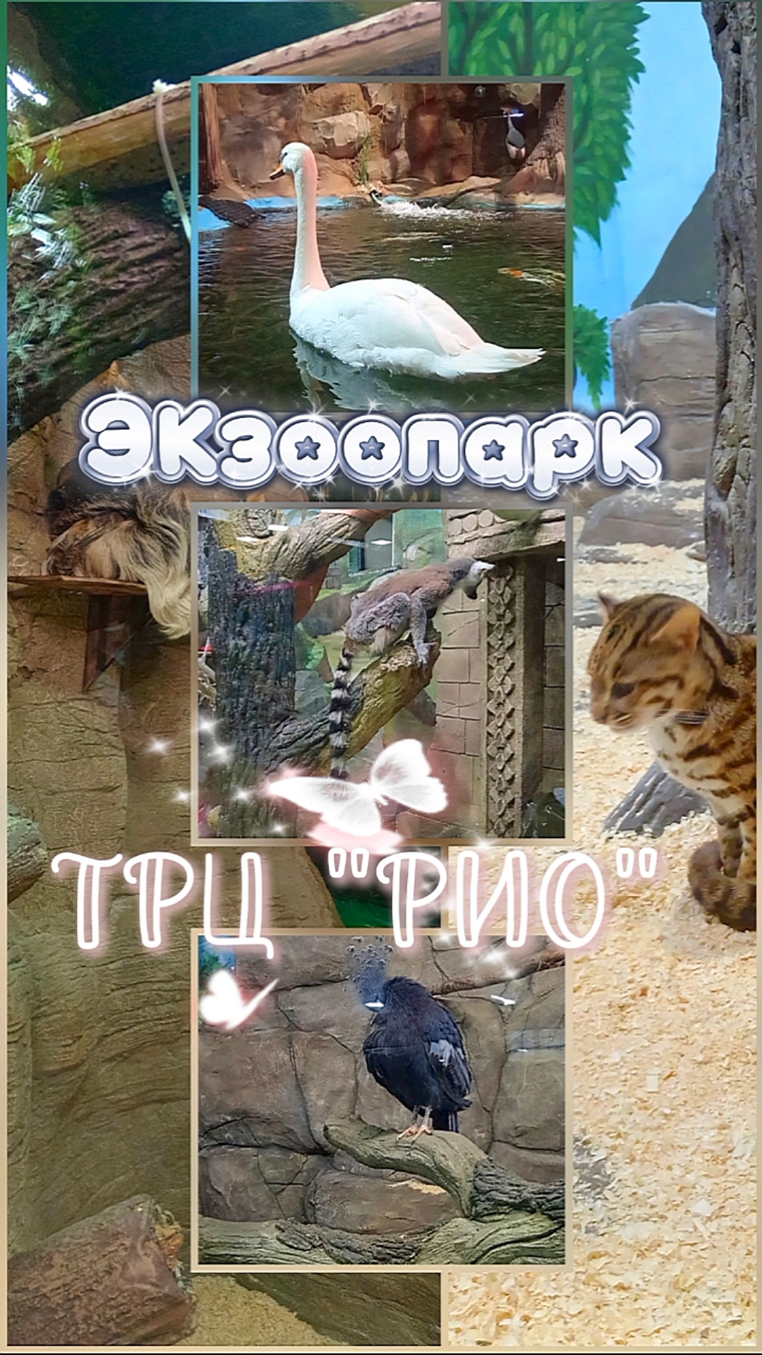 ЭКзоопарк