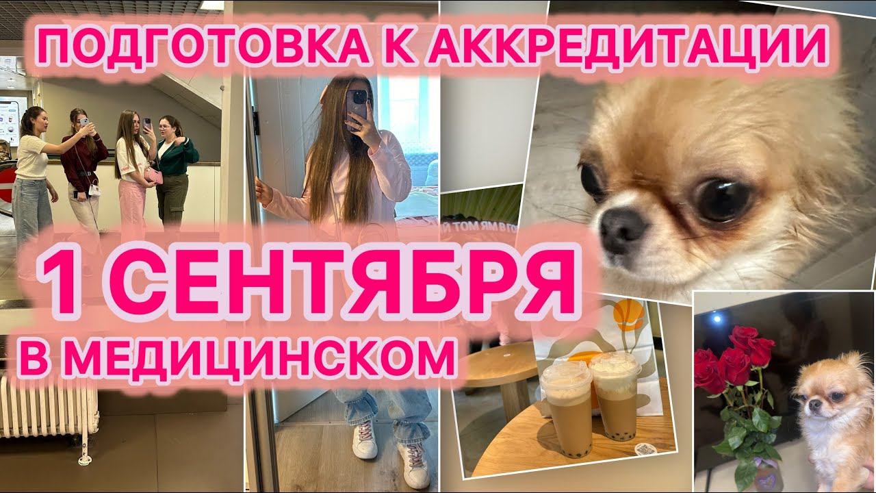 Готовлюсь к аккредитации | Как прошло моё 1 сентября | VLOG 9