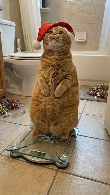 A27153f947aabce4bcd28c4c0821dad1