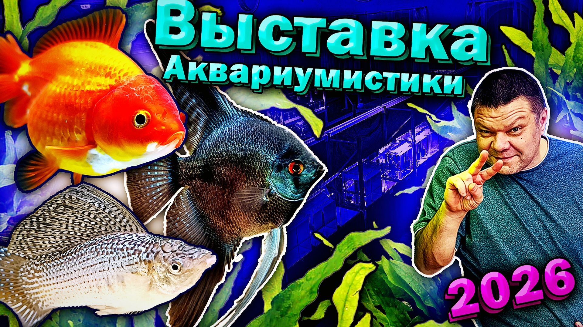 Выставка аквариумных рыбок 2026. Подготовка аквариумов [1 день]
