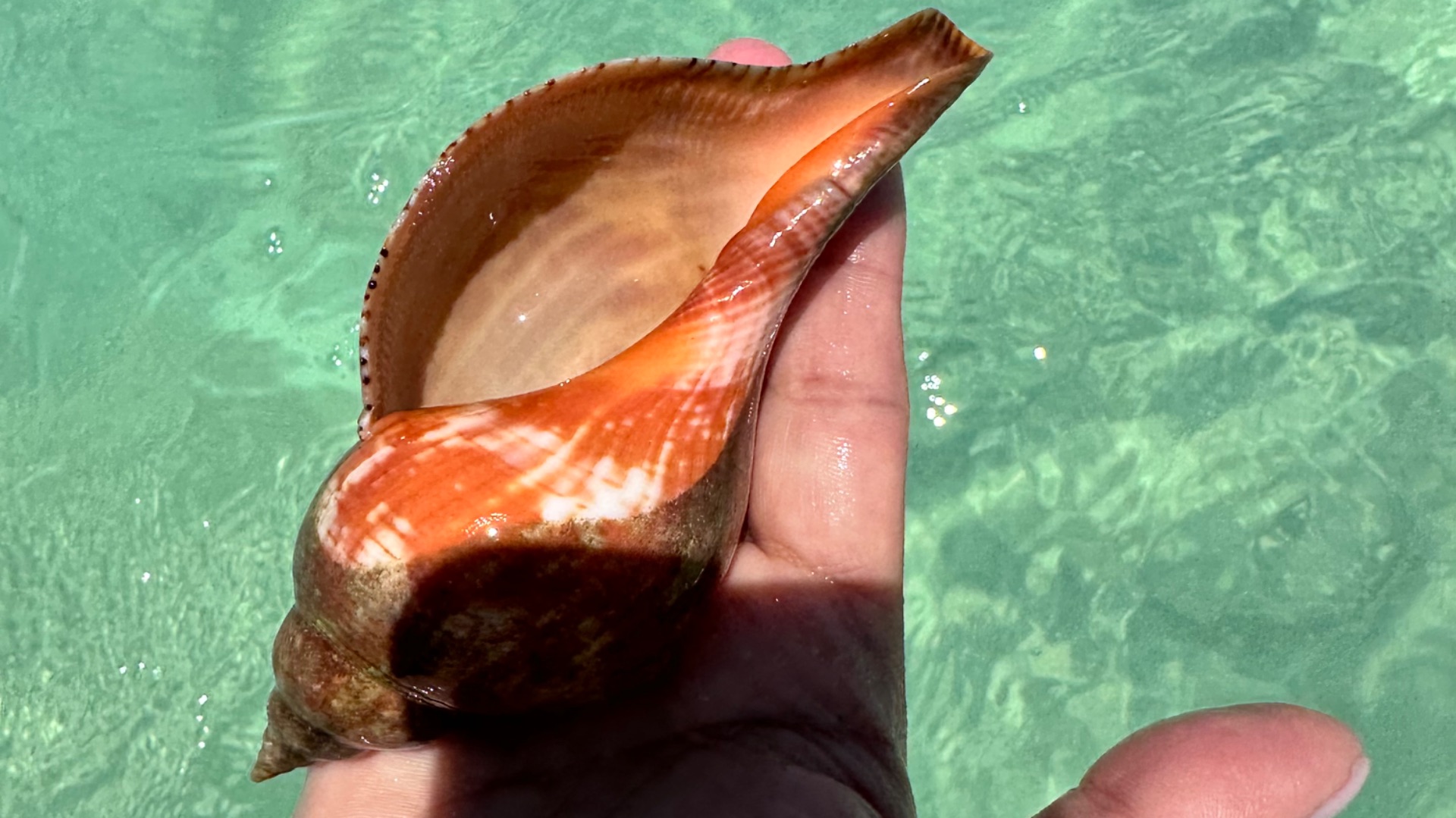 ОТДЫХ НА КУБЕ 2026/ ОСТРОВ КАЙО КОКО КУБА 2026