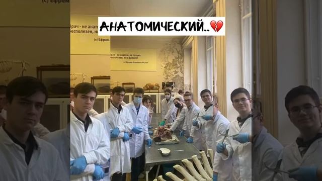 Анатомический кружок 2)