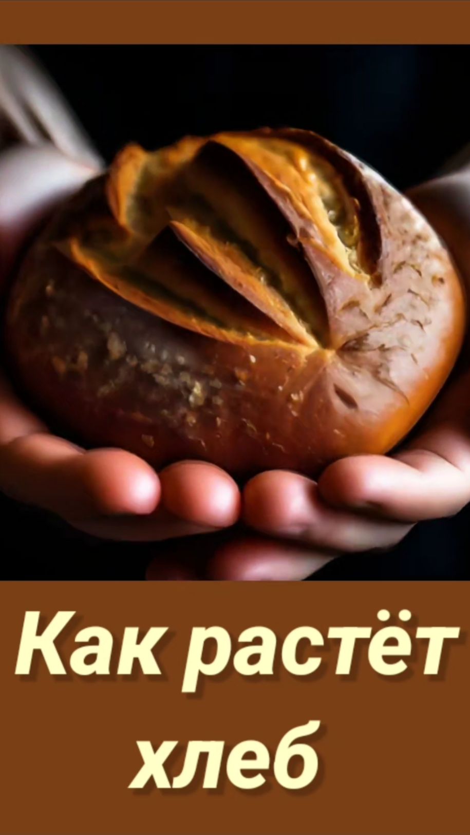 Мульт: Как растёт хлеб 5.01.2026 года