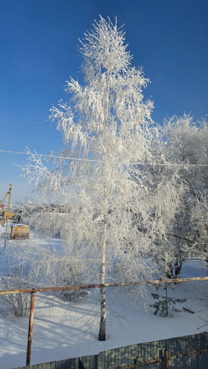 Зима пришла