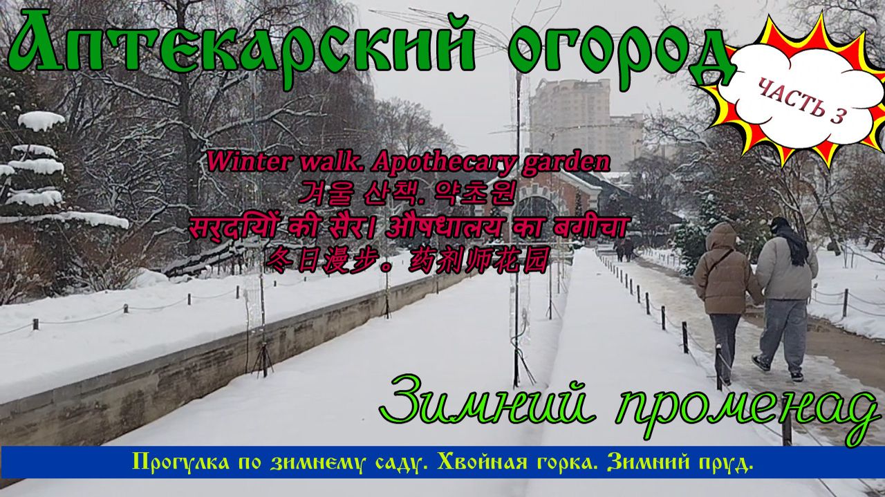 Аптекарский огород. Зимняя прогулка по саду. Зимний сад