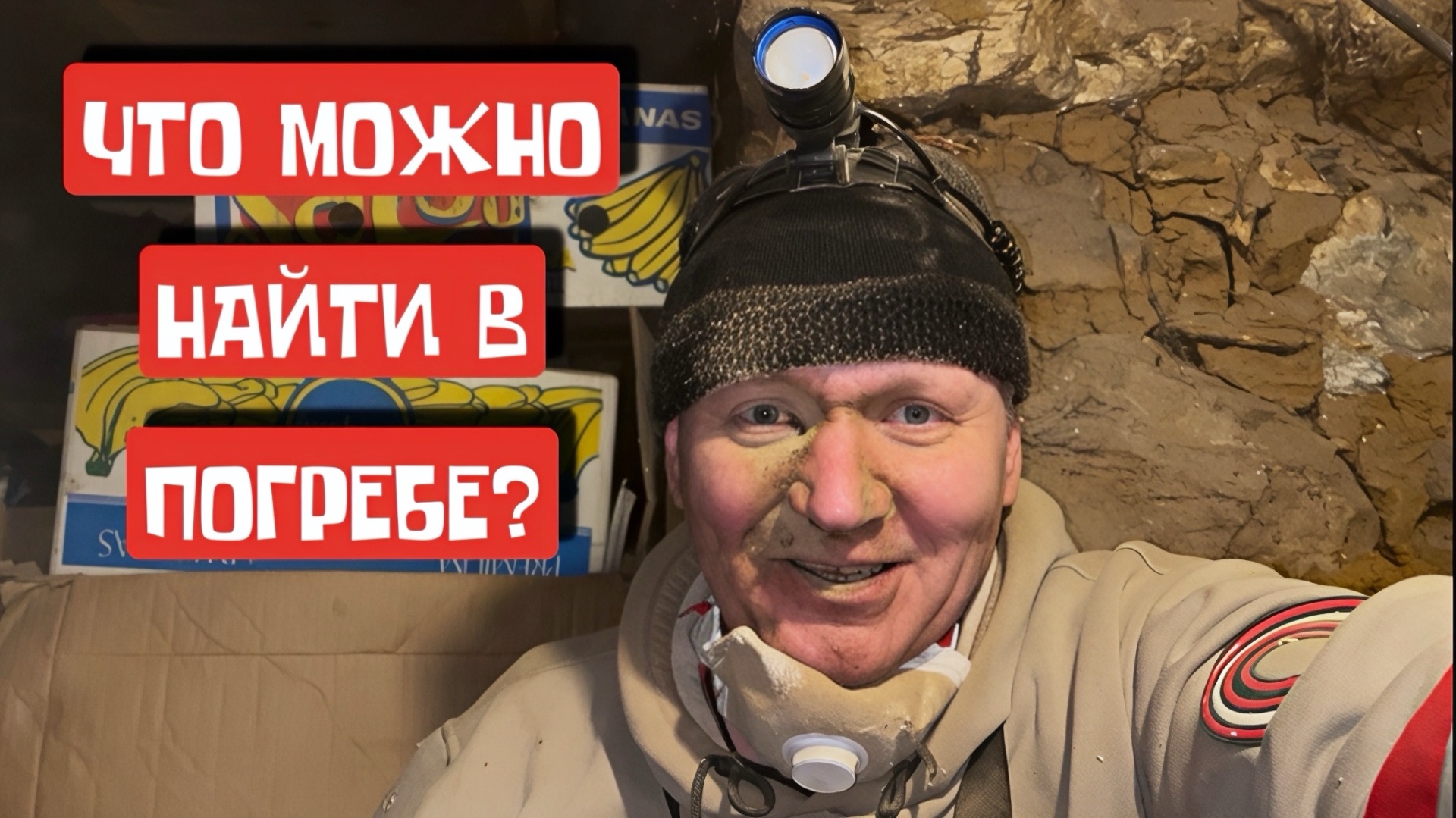 ЧТО МОЖНО НАЙТИ В ПОГРЕБЕ?