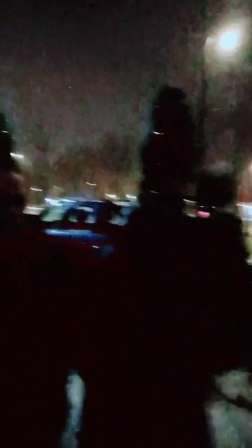 Елки мчатся