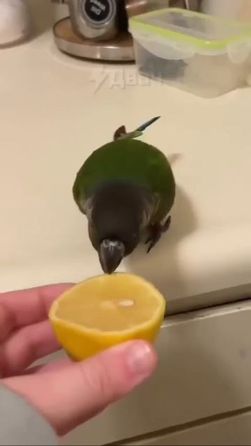 MOV_20251222_172531_575