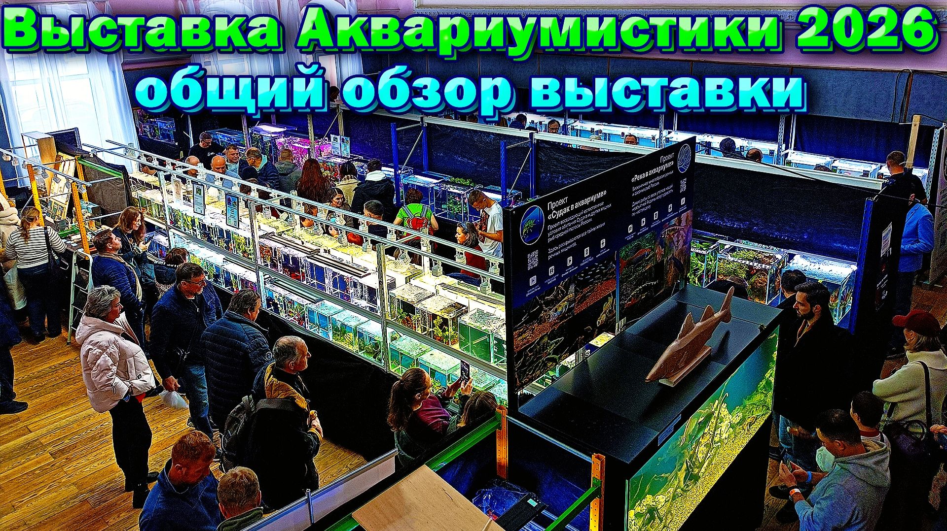 Выставка аквариумистики 2026 открыта! Красивые аквариумы, рыбки и не только!