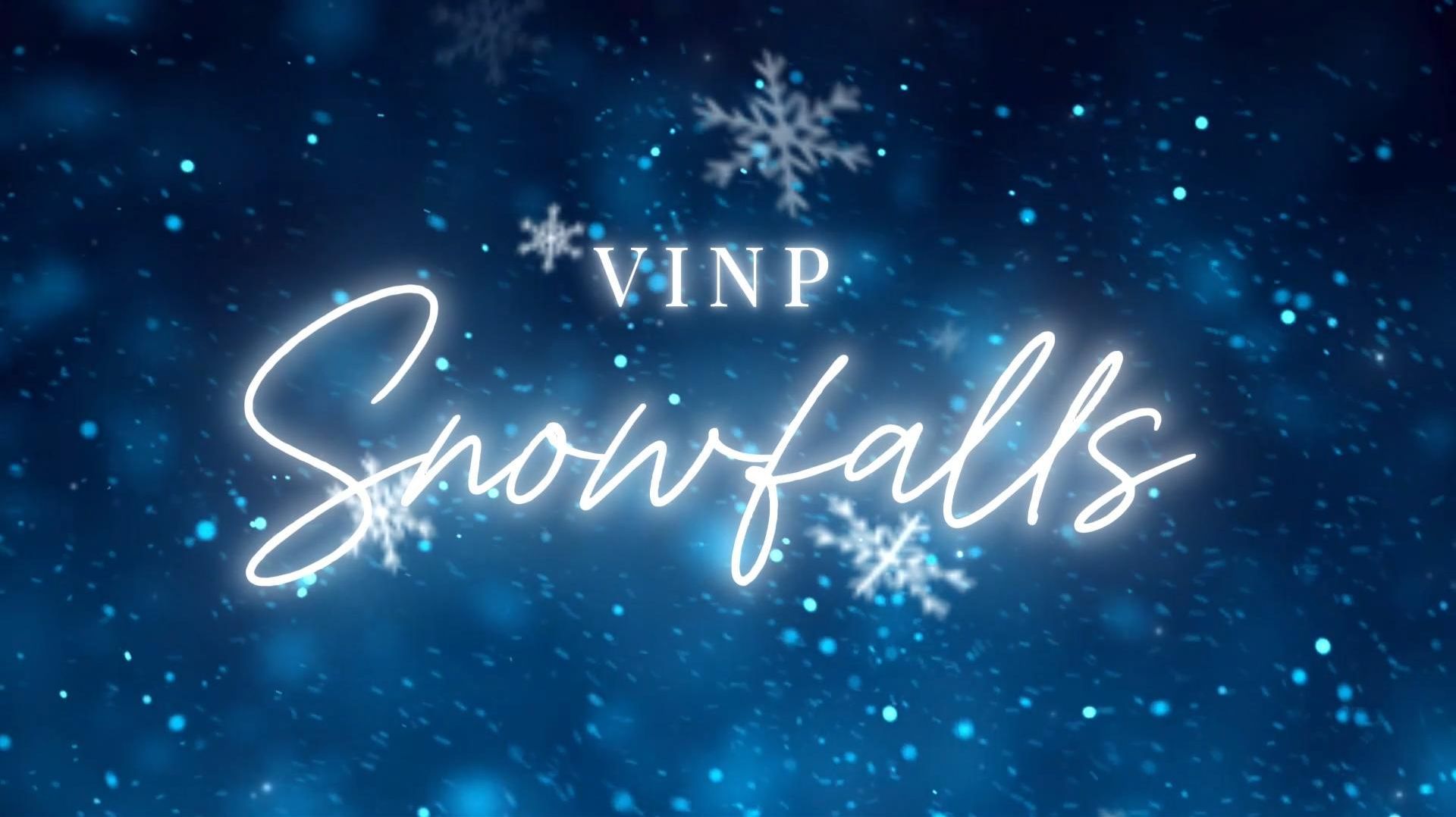 VINP - Snowfalls [Special Synth Version] ❄️