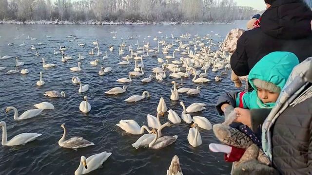 976b70230279169cfbd069871f29dfa4