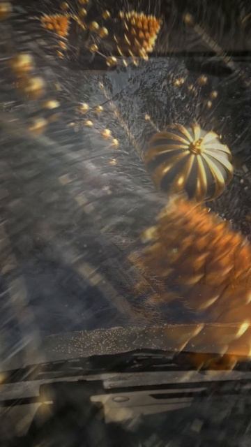 835172390972b328fd96e3d5ee32ccd2