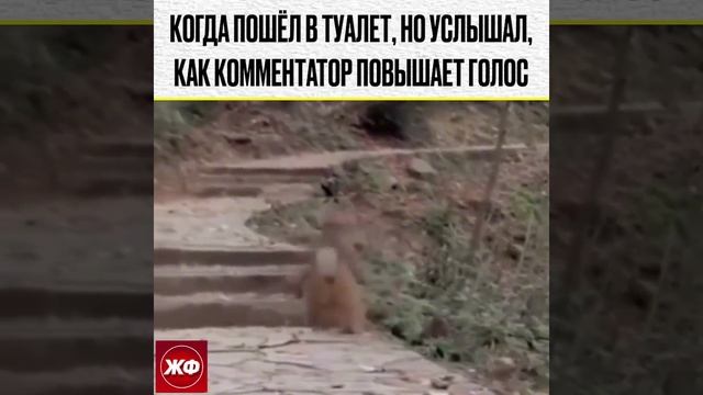 B83d5ea88372317249412284d4c1bc4f