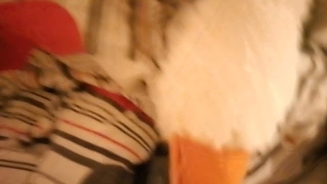 Убьют меня Гусинин Первая серия Мягкий тварь